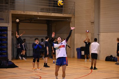 ASEUS - Volley-Ball D et H 22/11/23
