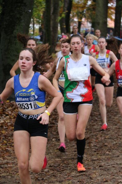 ASEUS - Cross-country 13/11/21