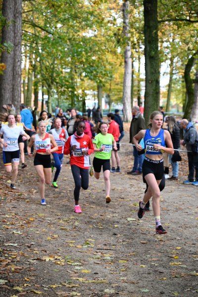 ASEUS - Cross country 11/11/23