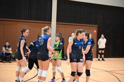 ASEUS - Volley-Ball D et H 15/11/23