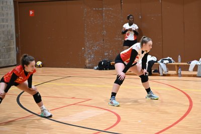 ASEUS - Volley-Ball D et H 15/11/23