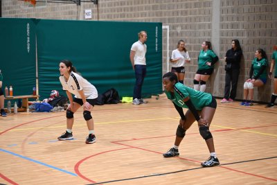 ASEUS - Volley-Ball D et H 15/11/23