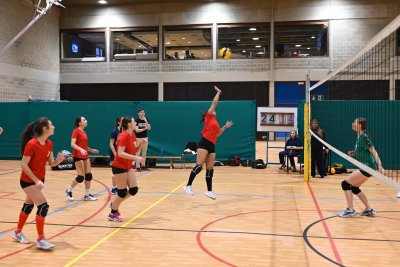 ASEUS - Volley-Ball D et H 15/11/23