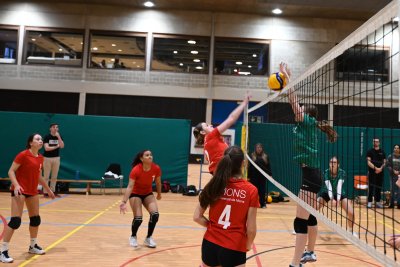 ASEUS - Volley-Ball D et H 15/11/23