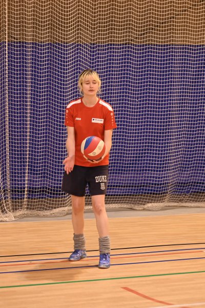 ASEUS - Volley-Ball D et H 22/11/23