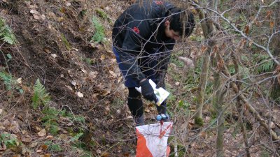 ASEUS - FSUB Course d'Orientation (Forestière) 25/02/2024