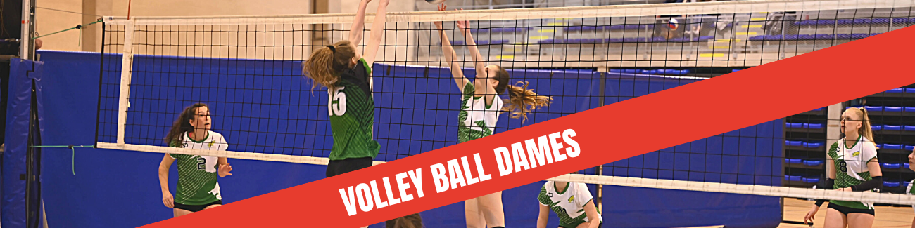 ASEUS - Championnat ASEUS : Volley dames - Résultats